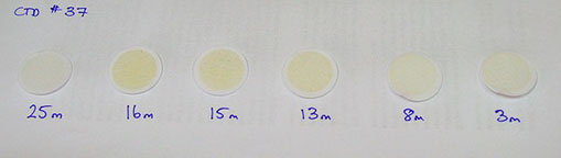 Phytoplankton living deeper in the water are in relative darkness because light intensity drops off rapidly with depth. The same volume of seawater filtered from different depths reveals that the deeper plankton each synthesise more pigment (note the darker colour) in order to make the most of the scarcer light