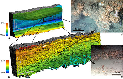 Overhanging cliff covered by cold-water corals in Whittard Canyon, mapped in 2009 using novel technology installed on ROV Isis. In the upcoming expedition, such mapping will be undertaken using the AUV Autosub6000 for the first time