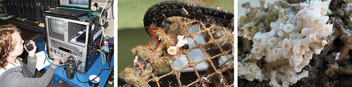 Left: Laura controlling the coral sampler using the camera feed<br />Centre: coral polyps growing on the lobster pot<br />Right: one of the retrieved coral colonies