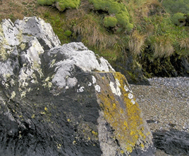 The ‘Ross benchmark’ used for sea level measurements at Port Louis