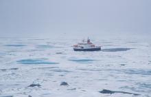 Polarstern, the MOSAiC Leg 4, Image credit - Lianna Nixon