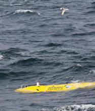 Autosub6000 at sea (courtesy of Dr Russel Wynn)