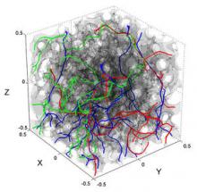 The pore network