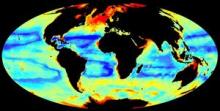 Global seafloor invertebrate biomass (image: Dan Jones, NOC; data courtesy Chih-Lin Wei, Dept. of Oceanography, Texas A&M Univ.)