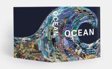 Ocean: Exploring the Marine World