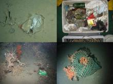 Marine litter