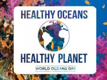 World Oceans Day