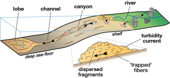 Diagram from the research paper