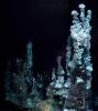 Hydrothermal vent